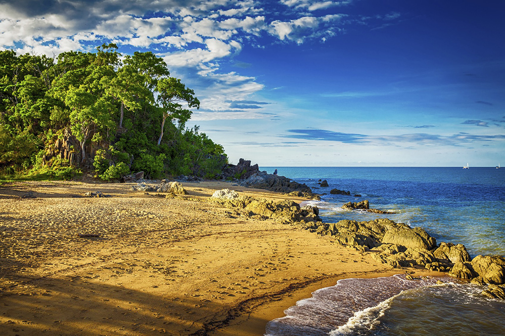 The main beach at Palm Cove, Australia (Credit: mvaligursky / Istock.com)